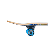 Radness Madness 31" Traditional Skateboard