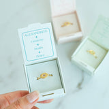 Birthstone Signet Ring - BUNDLE (with Display)